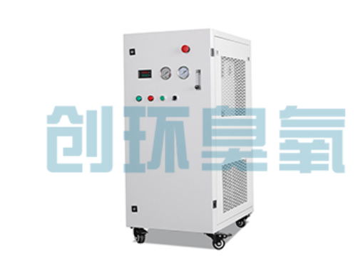 张掖石斑鱼养殖水质调控完整指南:臭氧发生器配置与操作步骤