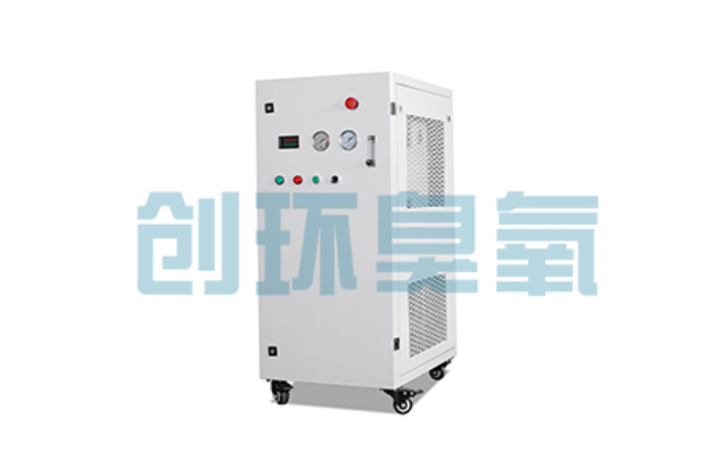 张掖比传统换水更高效?臭氧发生器在石斑鱼养殖中的水质净化原理解析